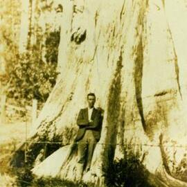 Bill Francis,  'Lone Pine,' Moran Group Settlement, Kin Kin