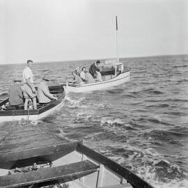 Boating parties,  Noosa Everglades, Noosa River, 1951