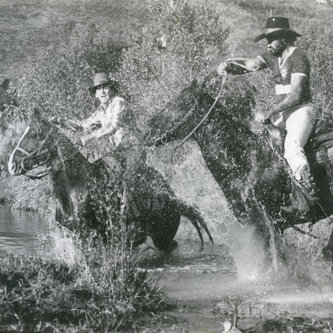 Great Kin Kin Horse Race