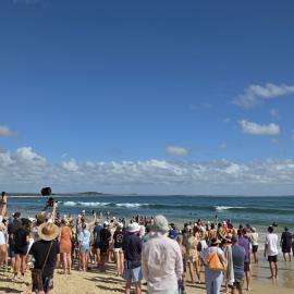 Competitors and spectators, Noosa Summer Swim Festival, Noosa Main Beach, Noosa Heads, 22 February 2026