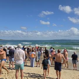 Competitors and spectators, Noosa Summer Swim Festival, Noosa Main Beach, Noosa Heads, 22 February 2026