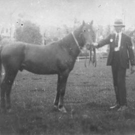 Dave Lane, Noosa Agricultural Show, Pomona