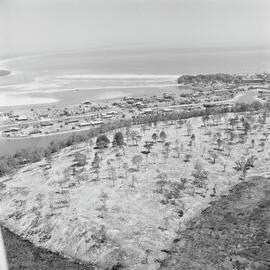 Aerial photo, Noosa Heads, 11 December 1979