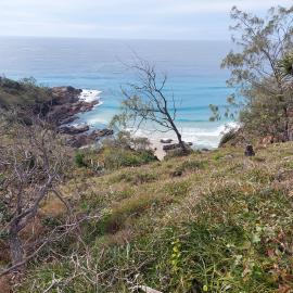 Coastal views, Noosa National Park, Sunshine Beach, 6 August 2026