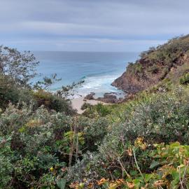 Crab Claw Cove, Noosa National Park, Sunshine Beach, 6 August 2026