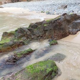 Crab Claw Cove, Noosa National Park, Sunshine Beach, 6 August 2026