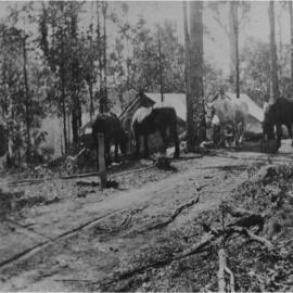 Main Roads Department camp, Pomona, ca 1927