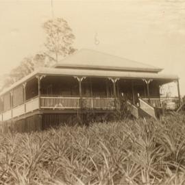 Dwelling, Playford Family, 56 Summit Road, Pomona, 1922