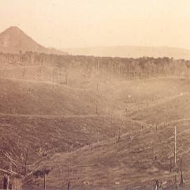 Burn-off, Reuben Ford's farm, Black Mountain, ca 1922