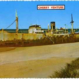 'Cherry Venture'