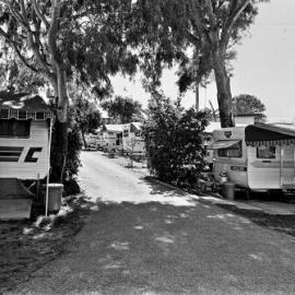 Caravan park, Noosa Heads
