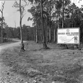 Entrance to Noosa Sun Farms real estate development, Eumundi Noosa Road, 1972 