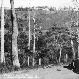 Eumundi-Noosa Heads Road