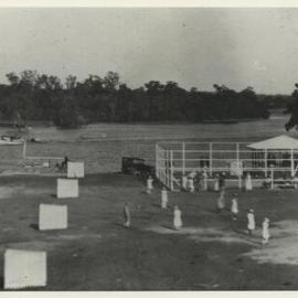 Public tennis courts, Tewantin 