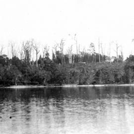 Boreen Point, southern end of Lake Cootharaba, 1924 