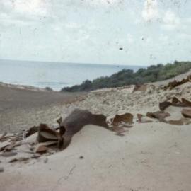 Canyon, Teewah Beach, 1968