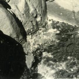 Fairy Pools, Noosa National Park, Noosa Heads, 1952