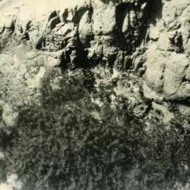 Fairy Pools, Noosa National Park, Noosa Heads, 1952