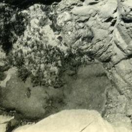 Fairy Pools, Noosa National Park, Noosa Heads, 1952
