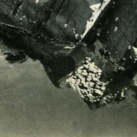 Fairy Pools, Noosa National Park, Noosa Heads, 1952