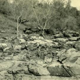 Eroded stones, Noosa National Park, Noosa Heads, 1952