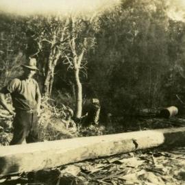 Construction, Weyba Creek  Bridge, Noosaville, ca 1930