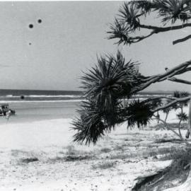 Daytrippers, Fraser Island 