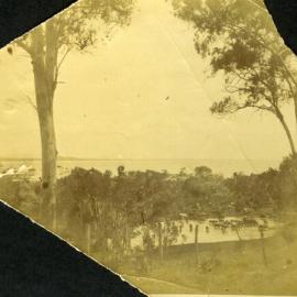 Cattle, Bay View Guesthouse, Noosa Heads