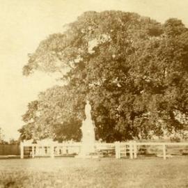 Gathering, Tewantin-Noosa RSL Memorial Park, Tewantin