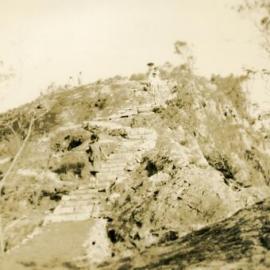 Daytrippers, Mt Tinbeerwah, Tewantin National Park, Tinbeerwah