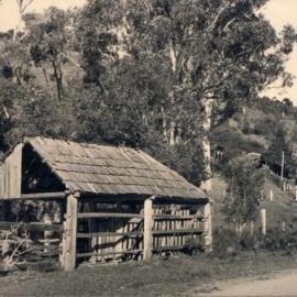 Cow Bail, Noosa Heads