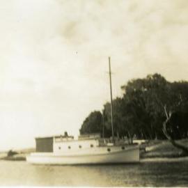 'Miss Laguna II', The Woods, Noosa Heads