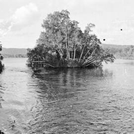 Boating party, Everglades trip, Noosa River, 7 June  1970