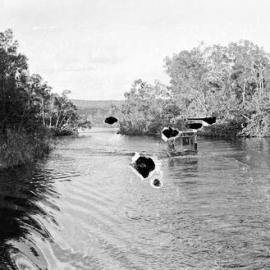 Boating party, Everglades trip, Noosa River, 7 June  1970