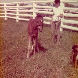 Donna Hofmann and foal, Weyba Ranch, Sunset Drive, Noosa Heads