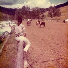 Bulldogging, Noosa Rodeo, Weyba Ranch, Sunset Drive, Noosa Heads