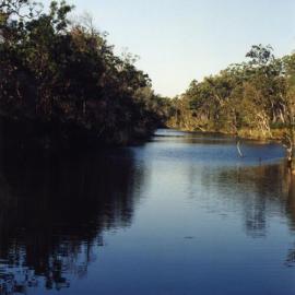 North arm, Neebs Waterhole, Cooloola Wilderness Trail, Great Sandy National Park, August 1992
