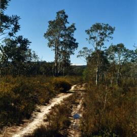 Cooloola Wilderness Trail, Great Sandy National Park, ca 1990s