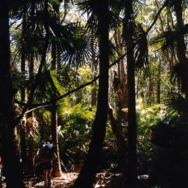 Cooloola Wilderness Trail, Great Sandy National Park, ca 1990s