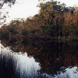 Evening reflections, Noosa River, Cooloola Wilderness Trail, Great Sandy National Park, August 1992