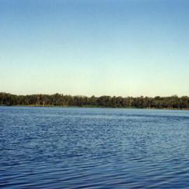 Fig Tree Lake, Cooloola Wilderness Trail, Great Sandy National Park, August 1992