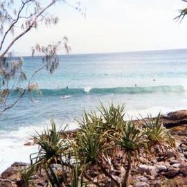 Board riders, Noosa National Park, Noosa Heads, 1970s