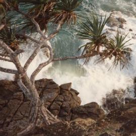 Boiling Pot, Noosa National Park, Noosa Heads, 1970s