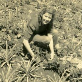 Emma Freeman, 'Pinevale', Bayview Road, Noosa Heads, 17 September 1953