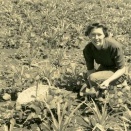 Emma Freeman, 'Pinevale', Bayview Road, Noosa Heads, 17 September 1953