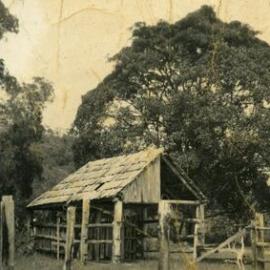 Cow bales, below Bay View Guesthouse, Noosa Heads