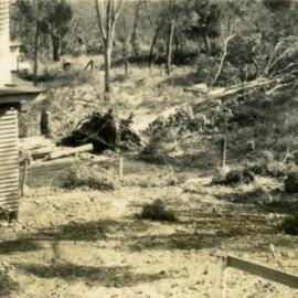 Damage at 'Pinevale', Bayview Road, Noosa Heads,  after cyclone, 21 February 1954