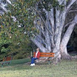 Enjoying the view, Tewantin Memorial Park, Tewantin, ca 1960s