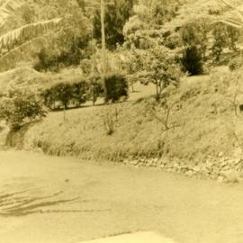 Driveway, 'Driftwood', Morwong Drive, Noosa Heads, 24 October 1967