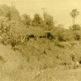 Driveway, 'Driftwood', Morwong Drive, Noosa Heads, 24 October 1967